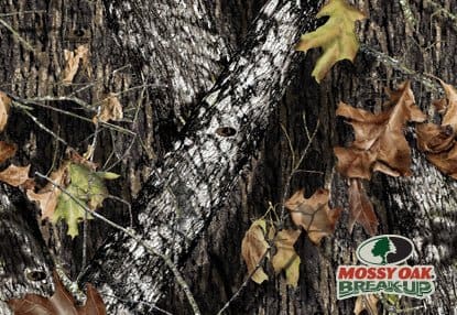 A close up of leaves on trees