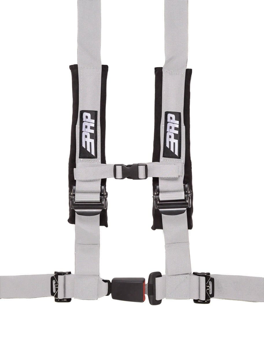 4.2 Harness - Image 2