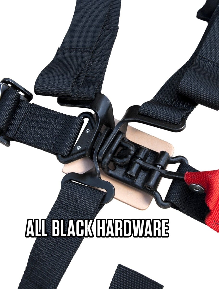 4.3 Harness, New Glory - Image 2