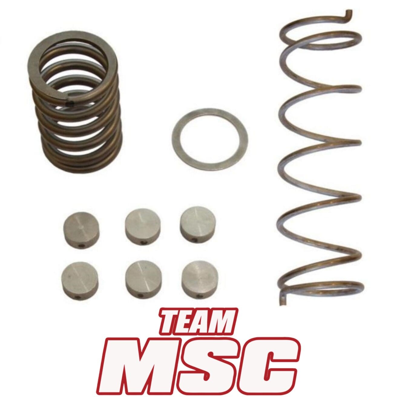 TEAM MSC STAGE 2 CLUTCH KIT - SEGWAY