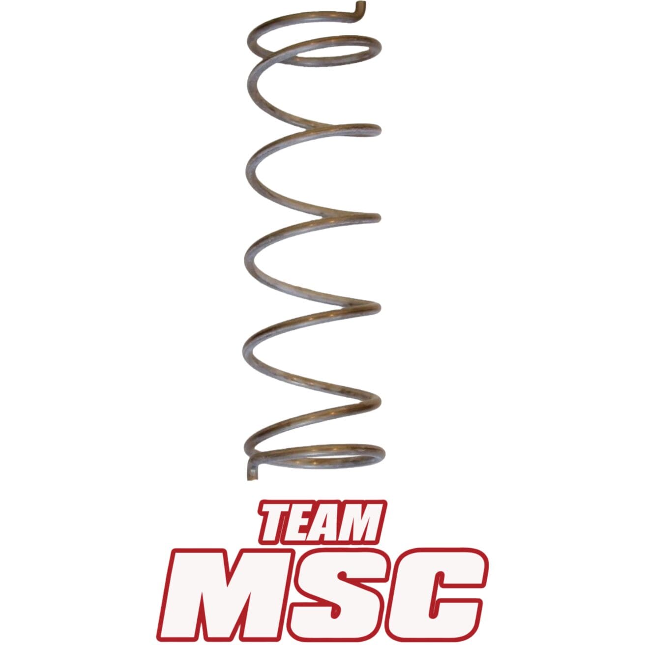SECONDARY CLUTCH SPRING UPGRADE - SEGWAY