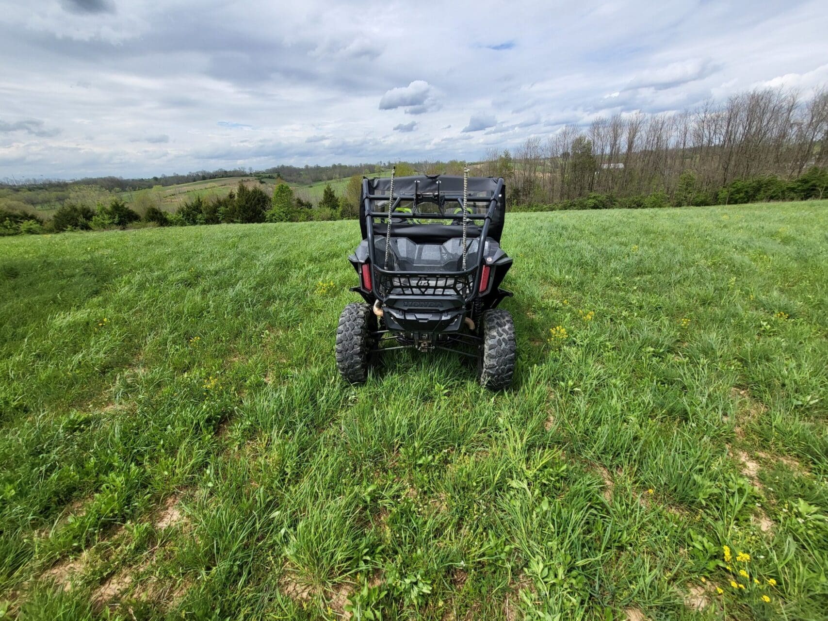 Honda Talon 4-Seater - Soft Back Panel - Image 2