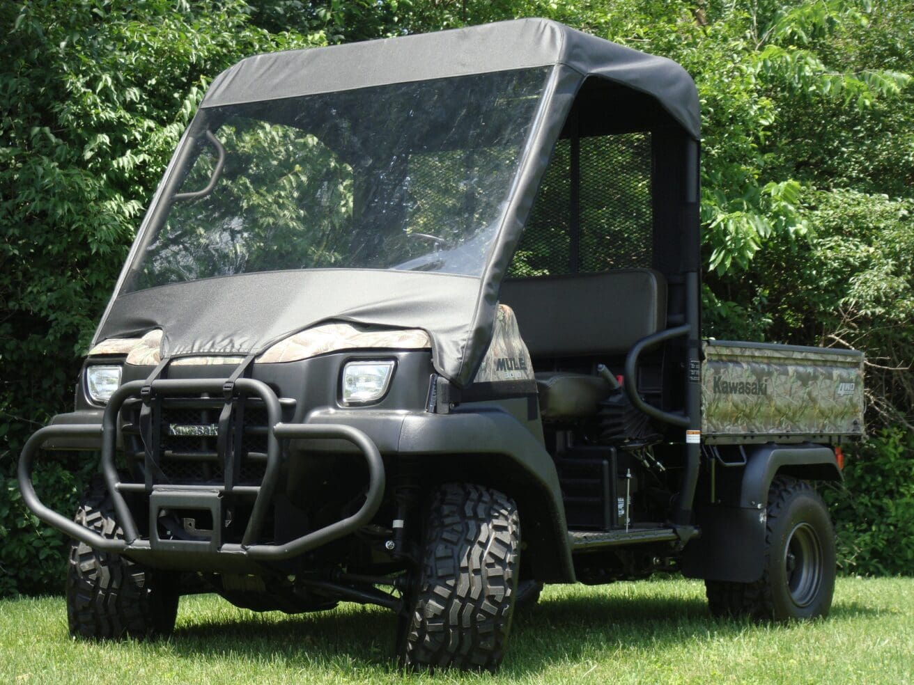 Utility terrain vehicle with canopy on grass